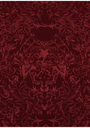 7.webp