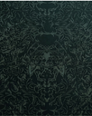 7.webp