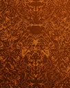 6.webp