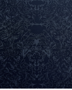 6.webp