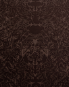 6.webp